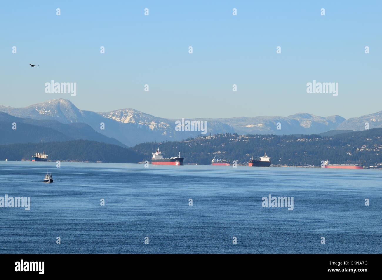 Tankers in English Bay, Vancouver - Stanley park Stock Photo