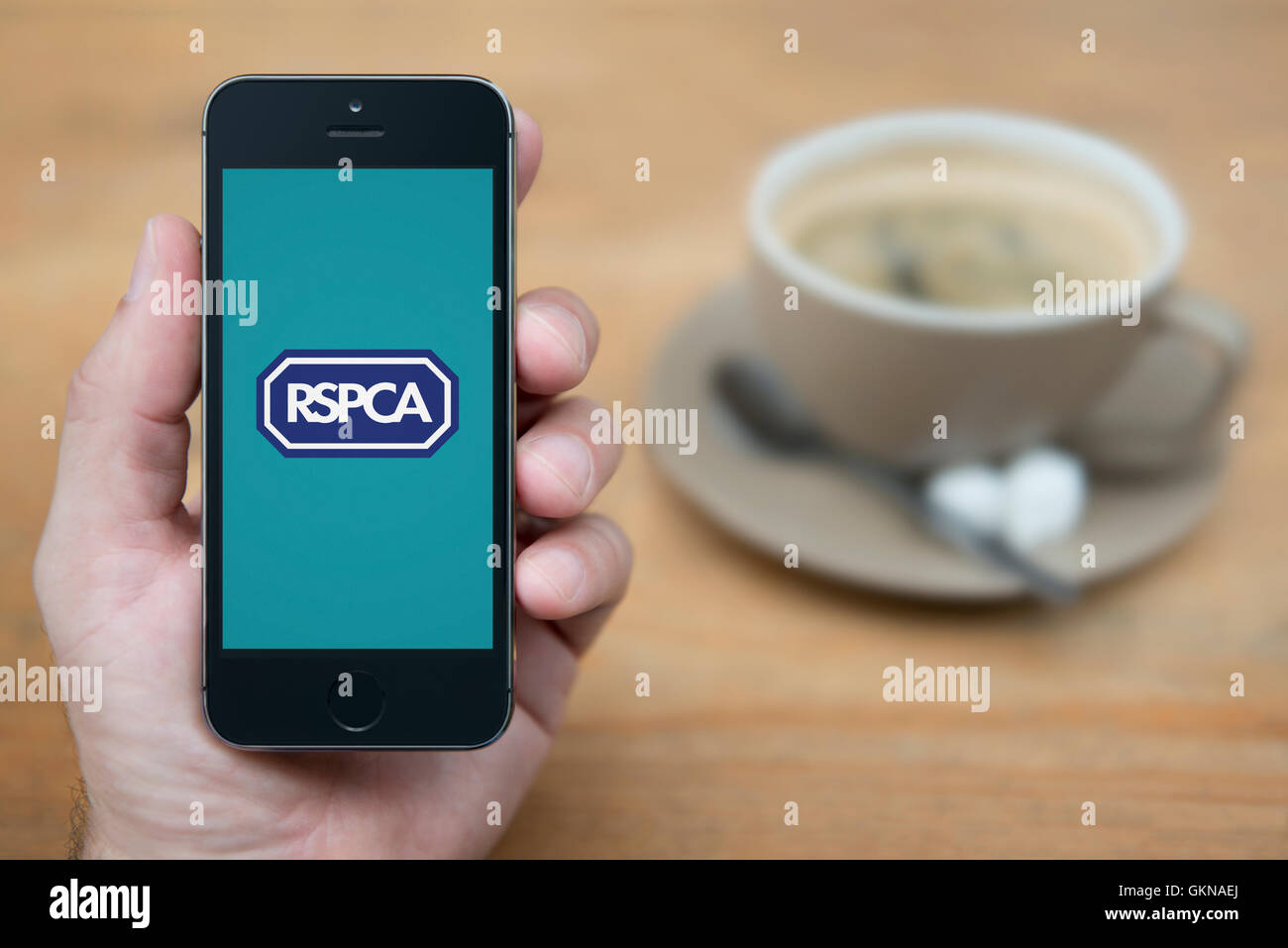A man looks at his iPhone which displays the RSPCA logo, while sat with a cup of coffee (Editorial use only). Stock Photo