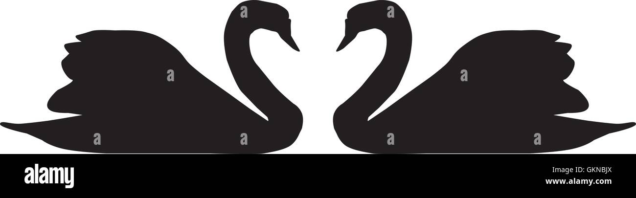 vector illustration of two swans silhouettes wedding card invitation ...