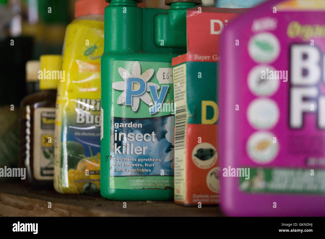 A range of Garden Pesticides & Insecticides found within a household garden shed Stock Photo