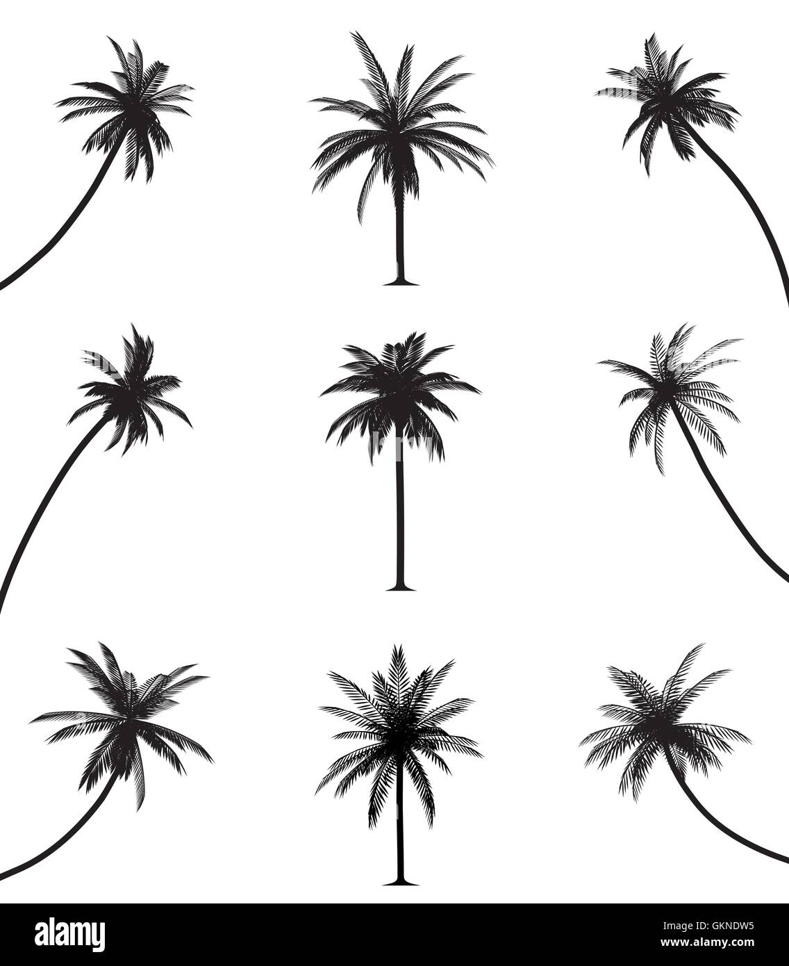 isolated tree trees palms silhouette palm vector silhouettes leaf ...