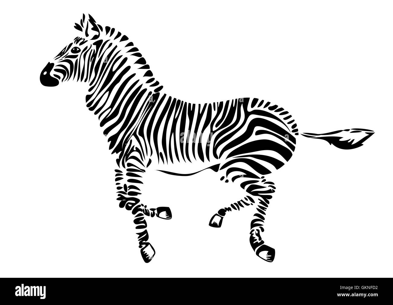 animal mammal wild africa zebra streak graphic animal mammal wild africa skin illustration zebra Stock Vector