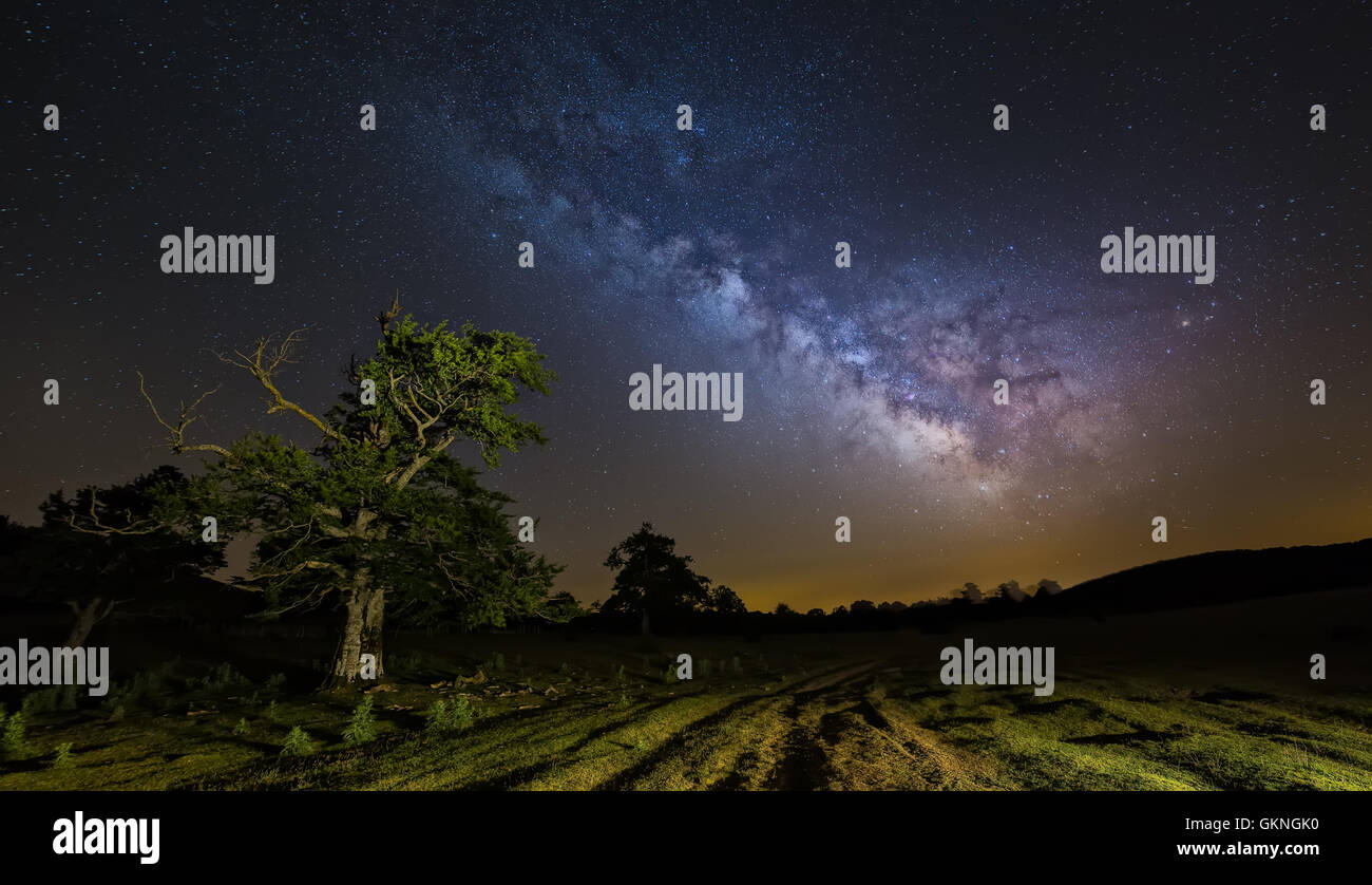 Milky way and tree hi-res stock photography and images - Alamy