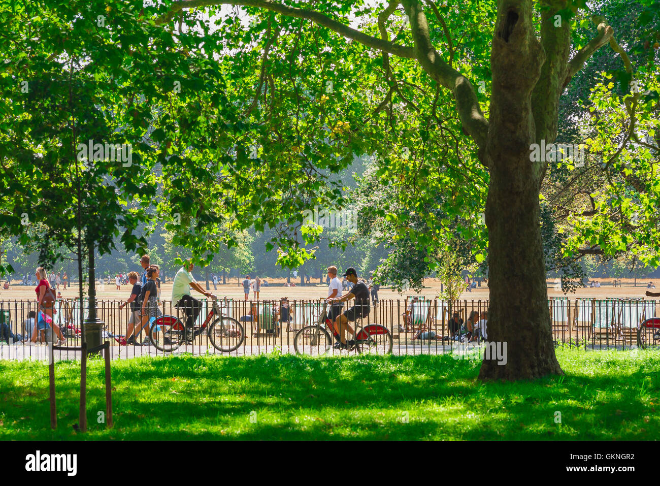 London parks summer, people cycle through Hyde Park in London on a summer afternoon, UK Stock Photo