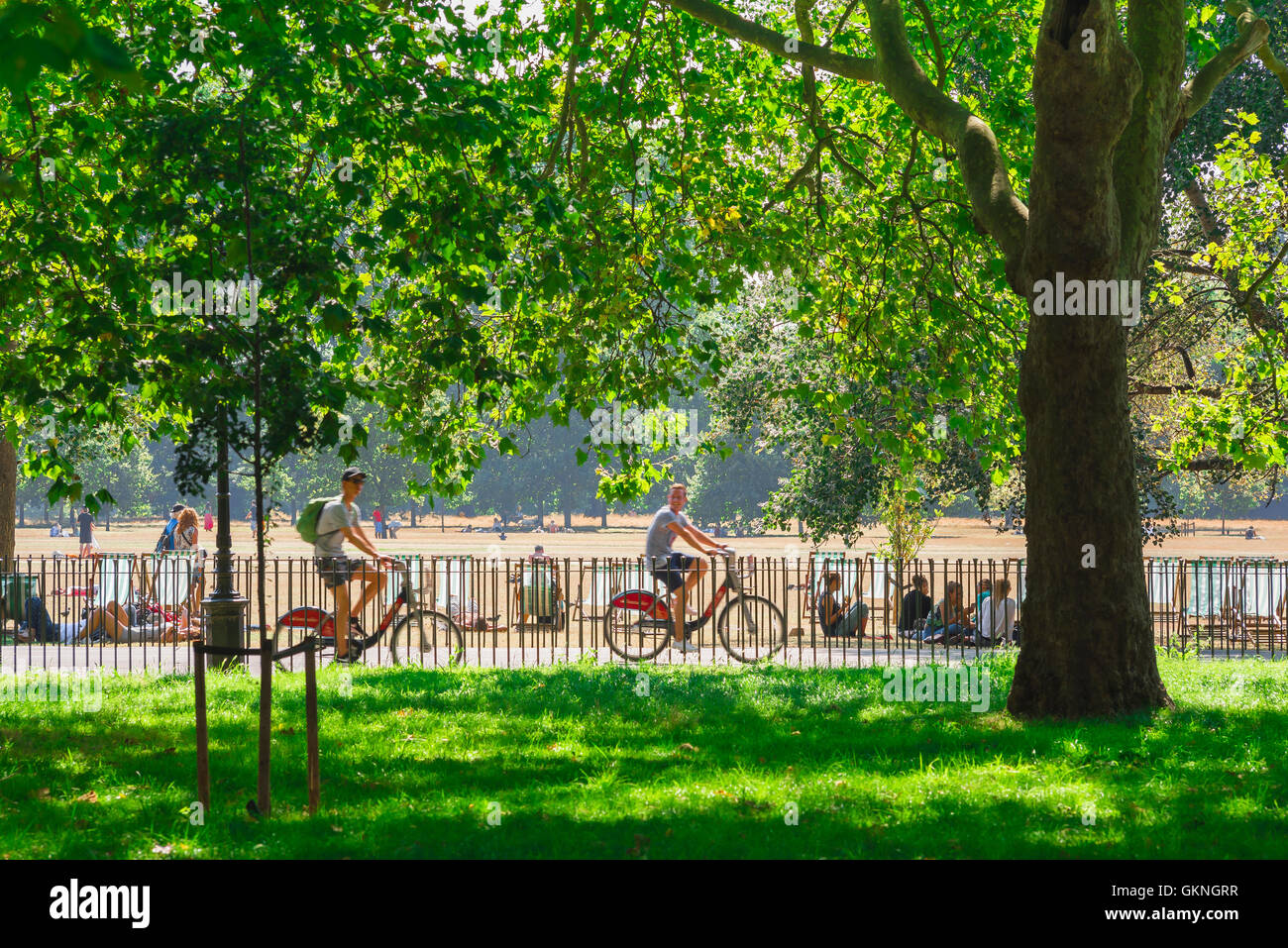 Cycling London summer, view of cyclists riding through Hyde Park on a summer afternoon, London, England, UK. Stock Photo