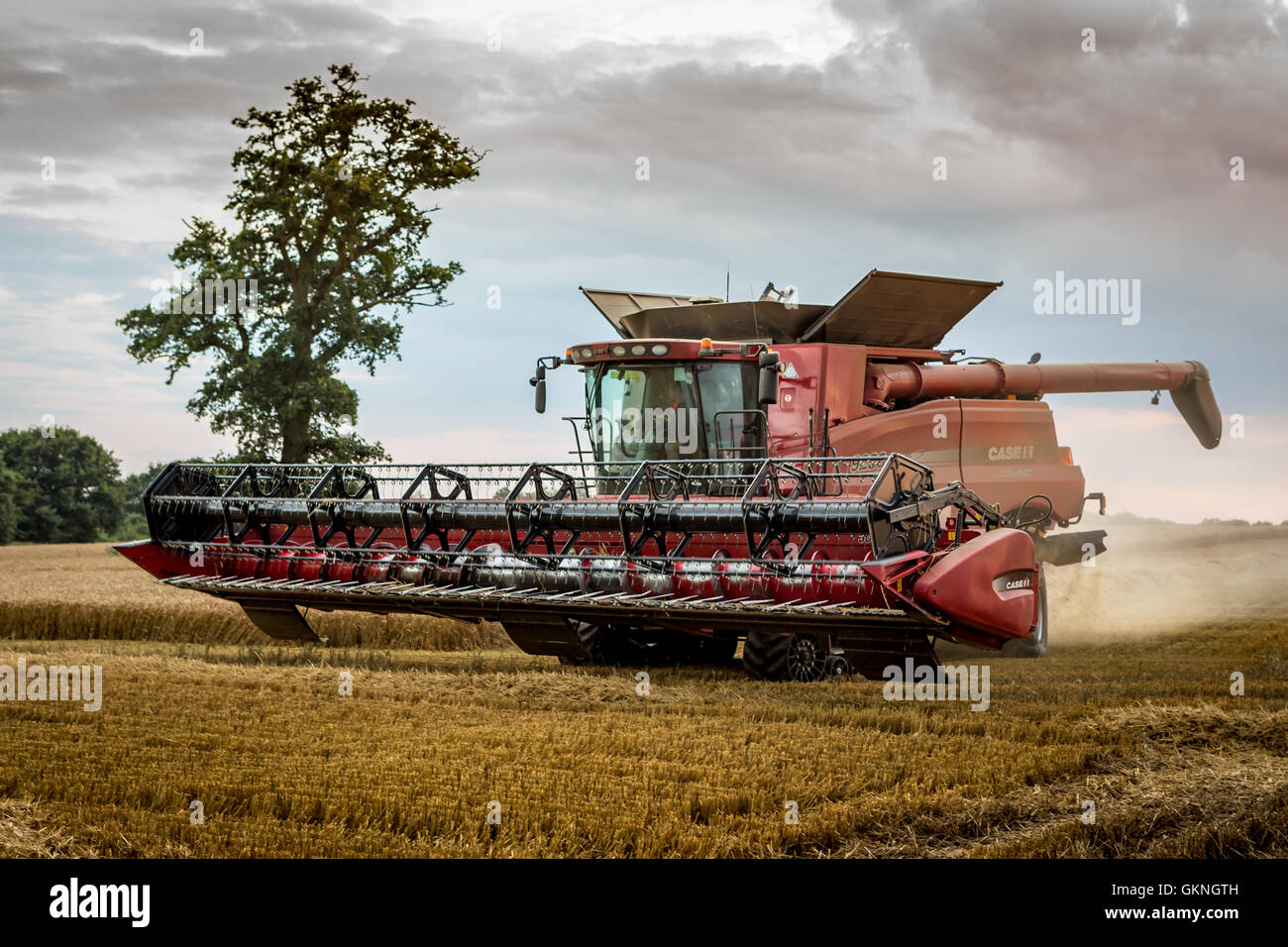 Case Combine Harvester working in a field Stock Photo Alamy