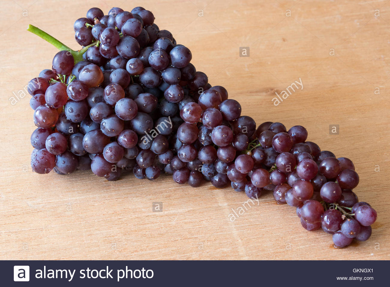 Black Corinth or Champagne grapes, specialty produce. The fresh Stock