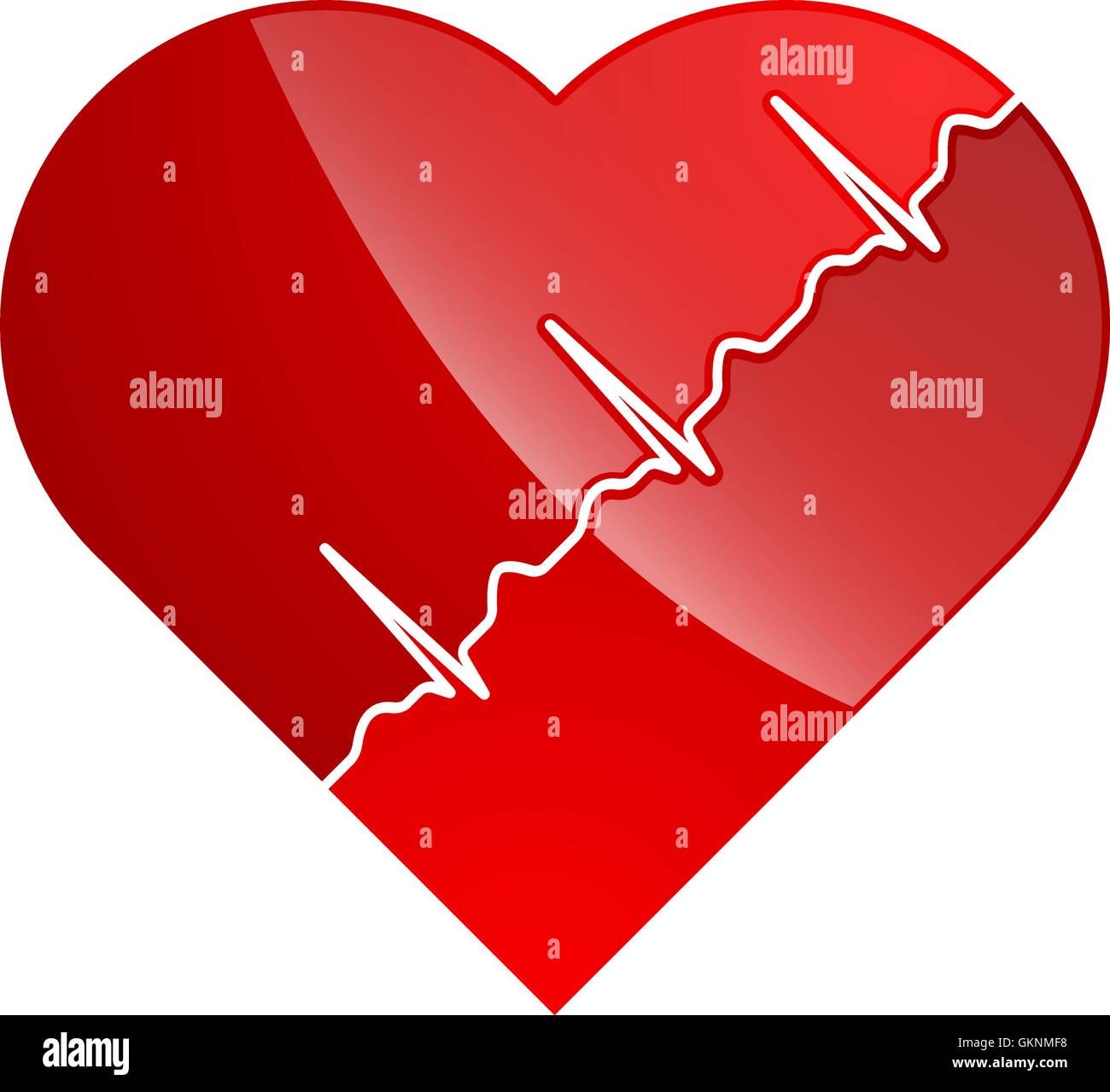 The heart and cardiogram Stock Vector Image & Art - Alamy