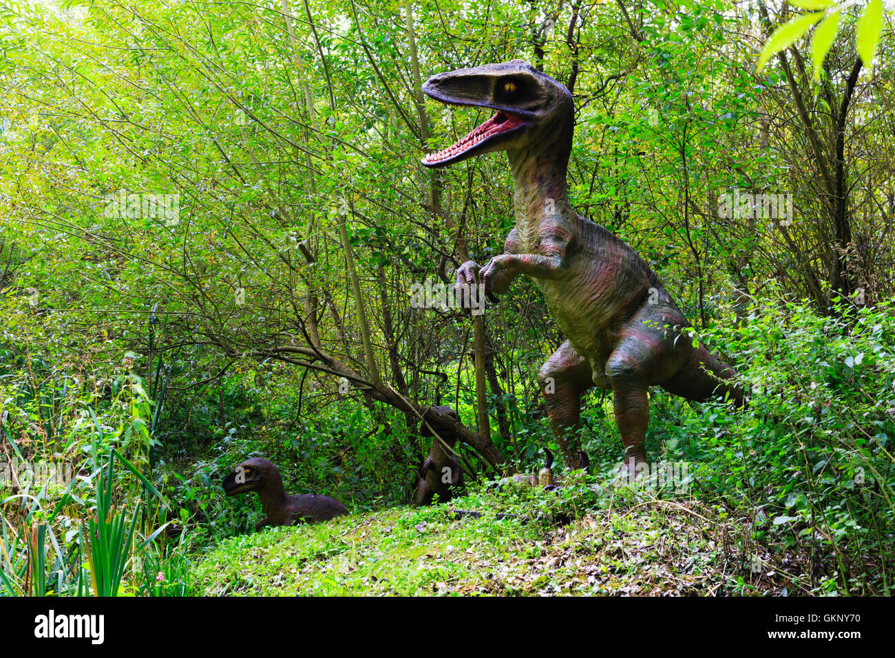 Dinosaur T Rex and babies. Stock Photo