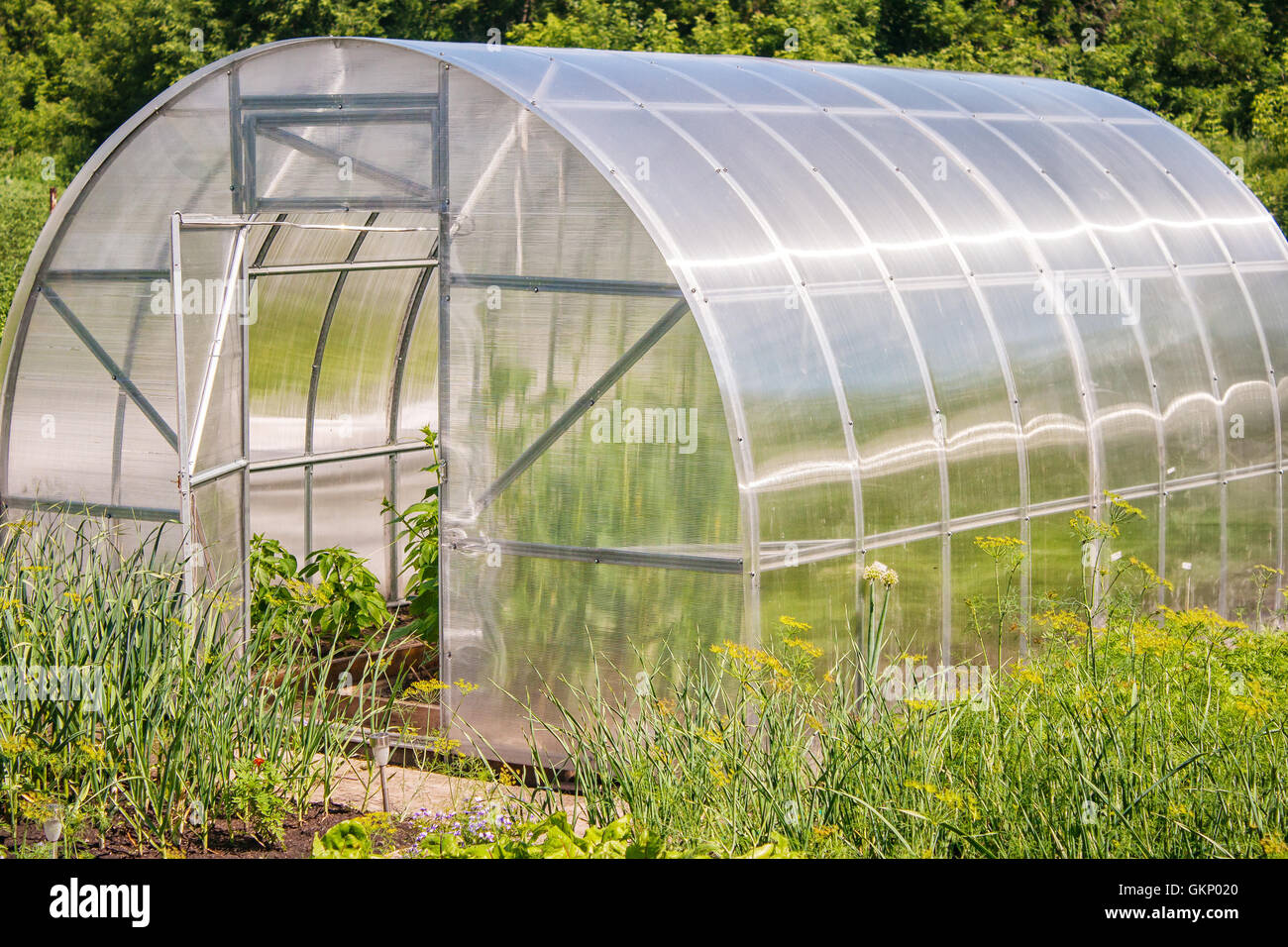 Plastic greenhouse hires stock photography and images Alamy
