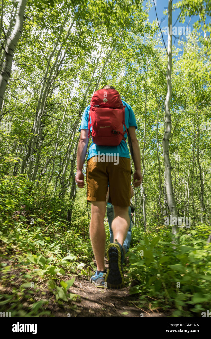Hiking on Palisades Trail in the CusterGallatin National Forest with