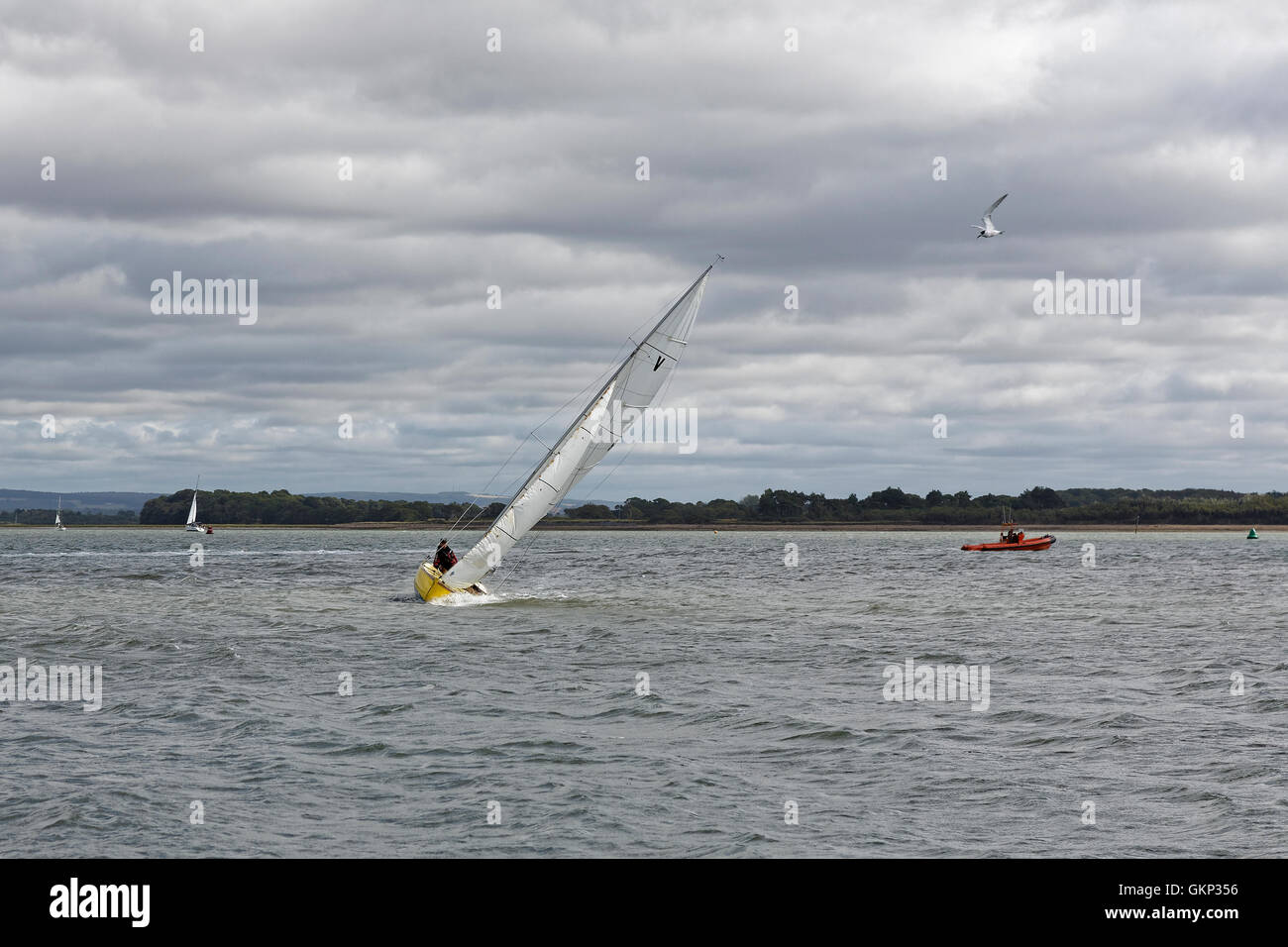 A sailing boat heels over, decks awash and running fast driven by strong winds. Stock Photo