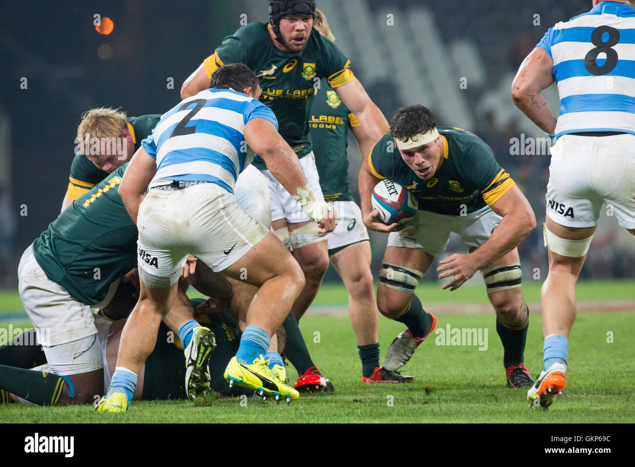 Springboks rugby hi-res stock photography and images