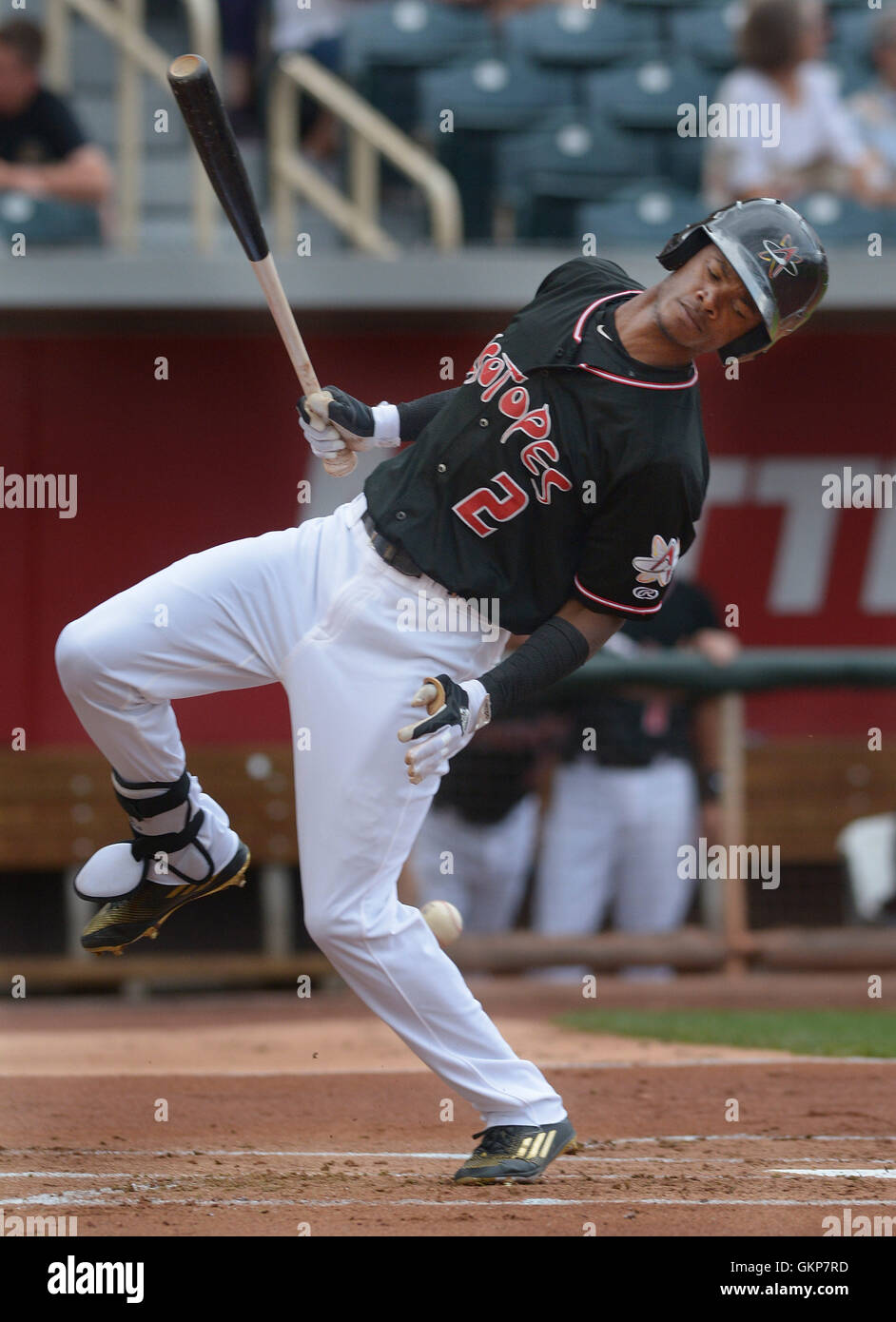 Isotopes park hi-res stock photography and images - Page 2 - Alamy