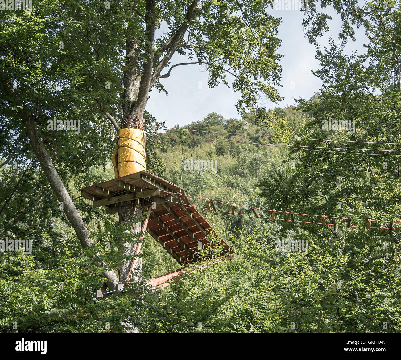 Platform for Zipline through the trees in the forest Stock Photo Alamy
