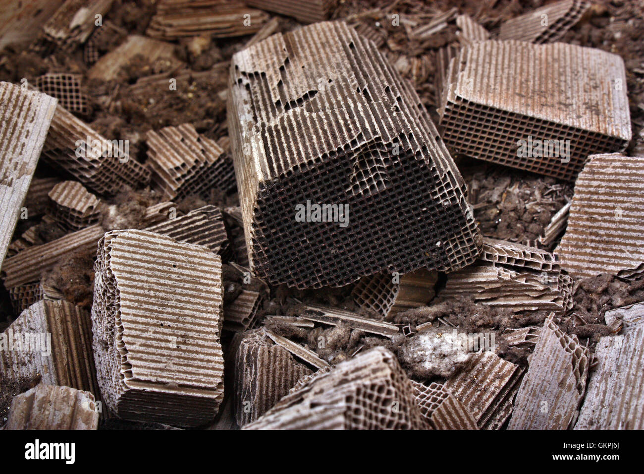 Pieces part of car catalytic converter having platinum, rhodium
