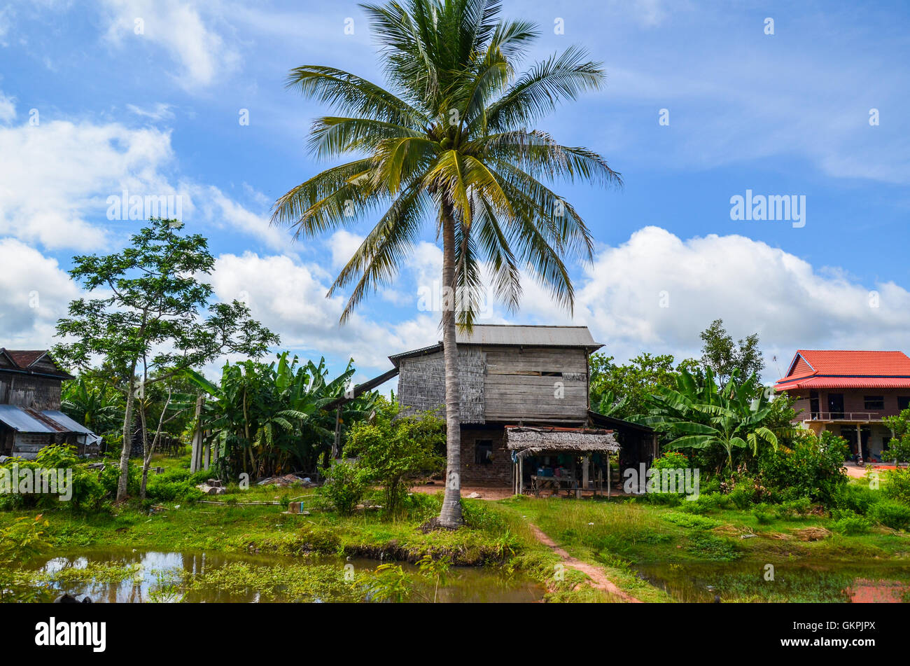 Cambodian countryside, Siem Reap, Cambodia Stock Photo Alamy