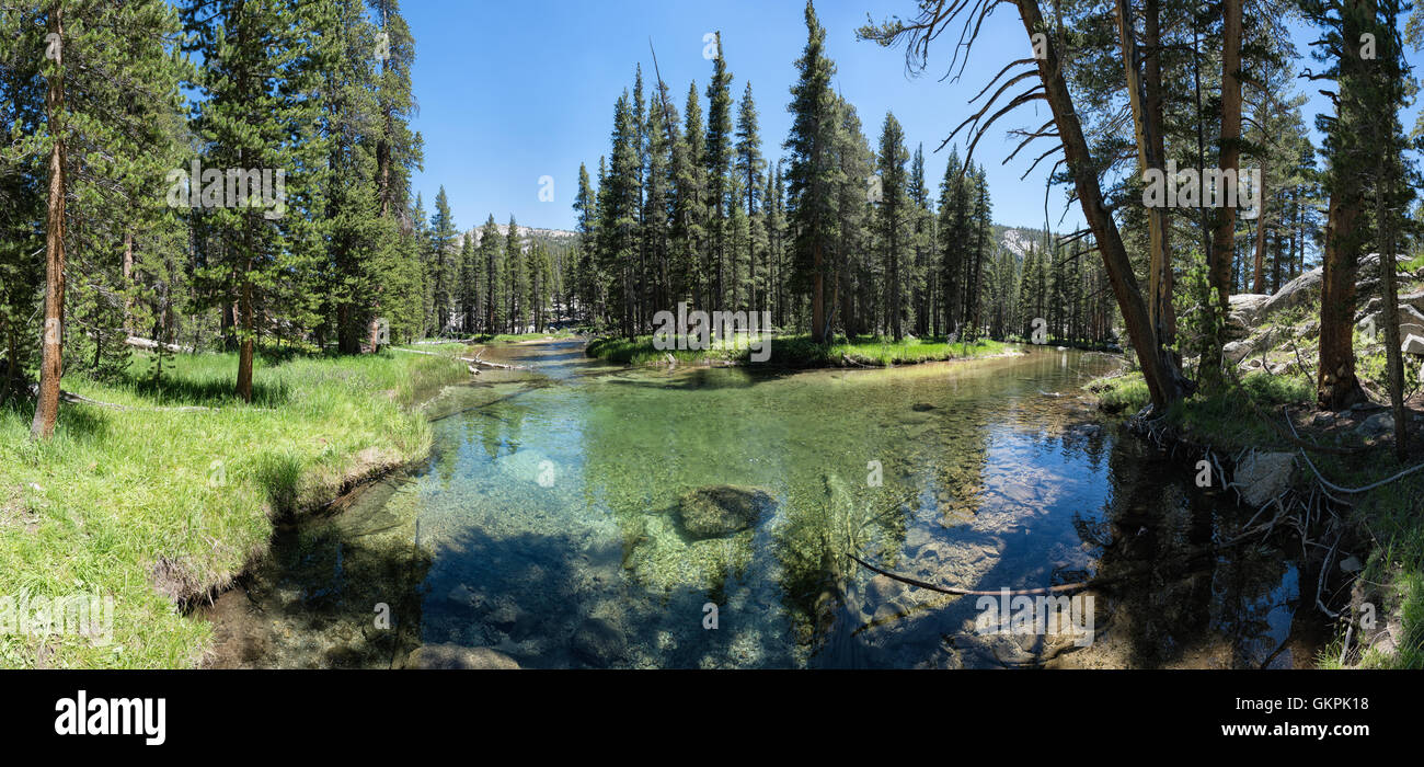 Kings Canyon National Park, California, United States of America, North America Stock Photo