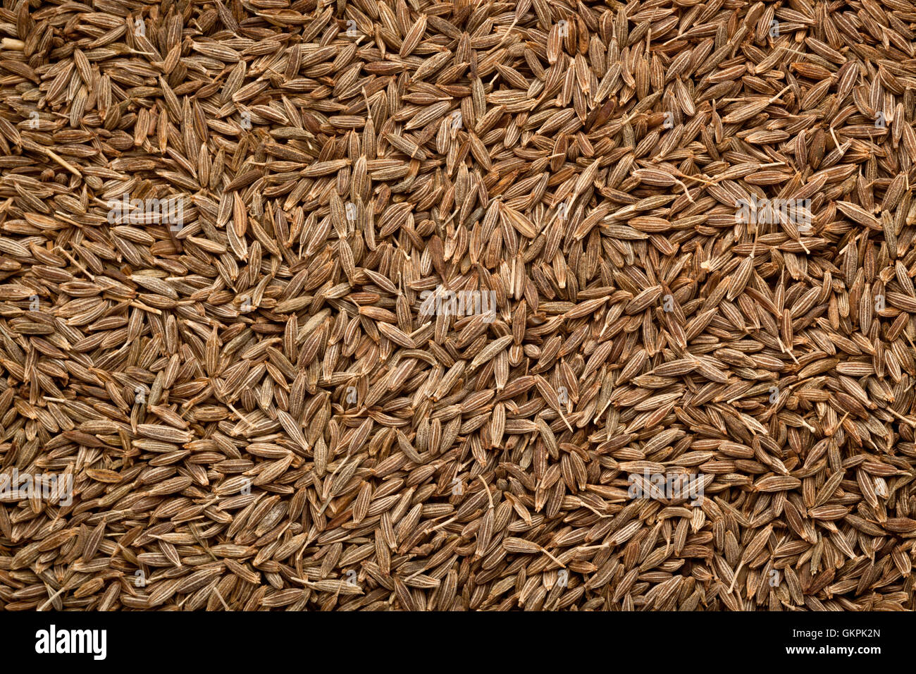 Closeup of a lot of cumin seeds Stock Photo