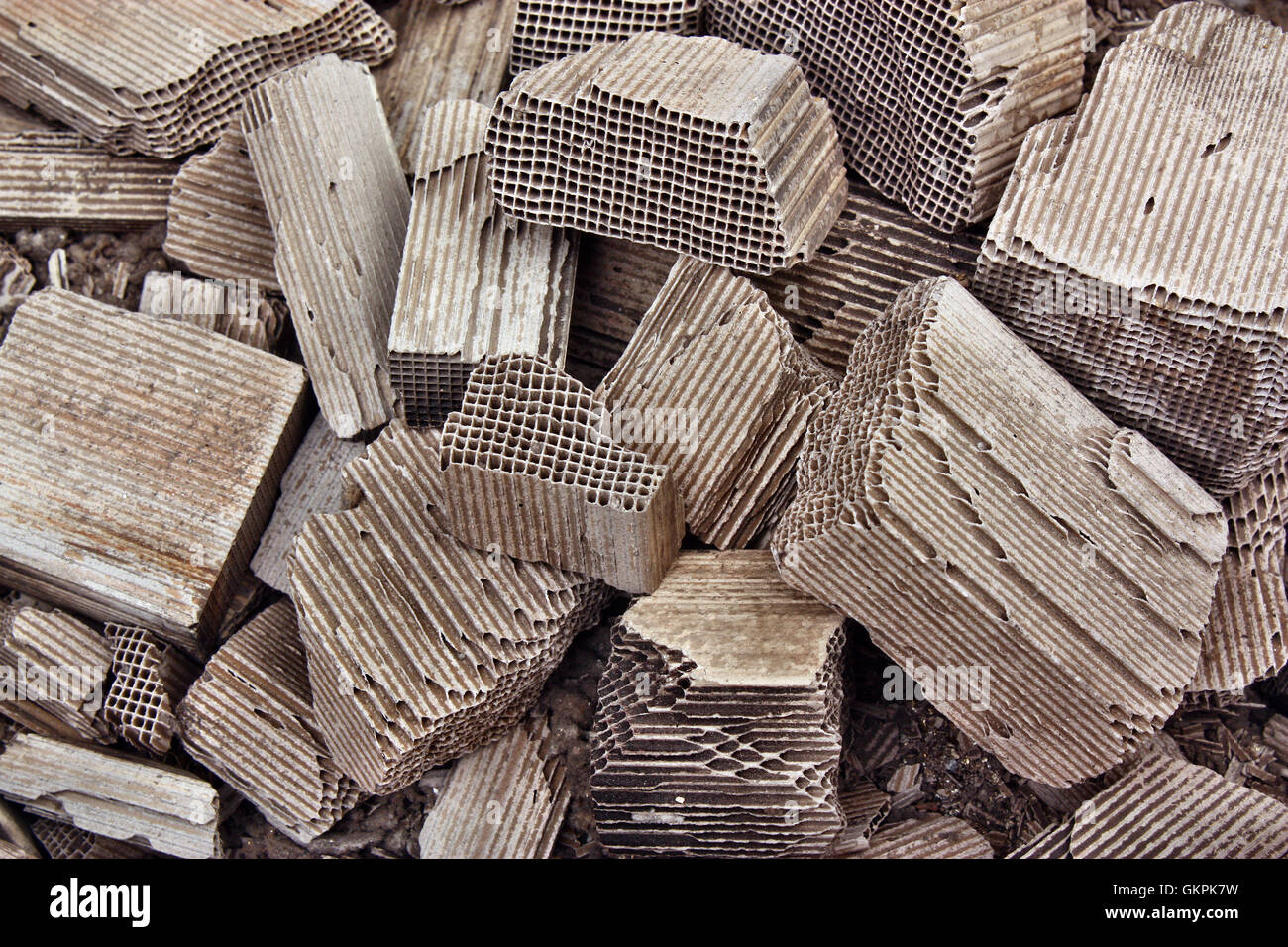 Pieces part of car catalytic converter having platinum, rhodium