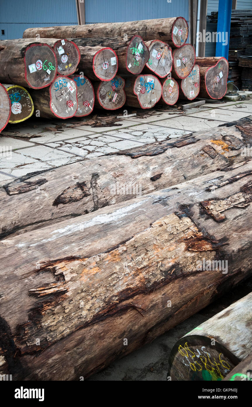 Stacked logs and treetrunks in a sawmill Stock Photo