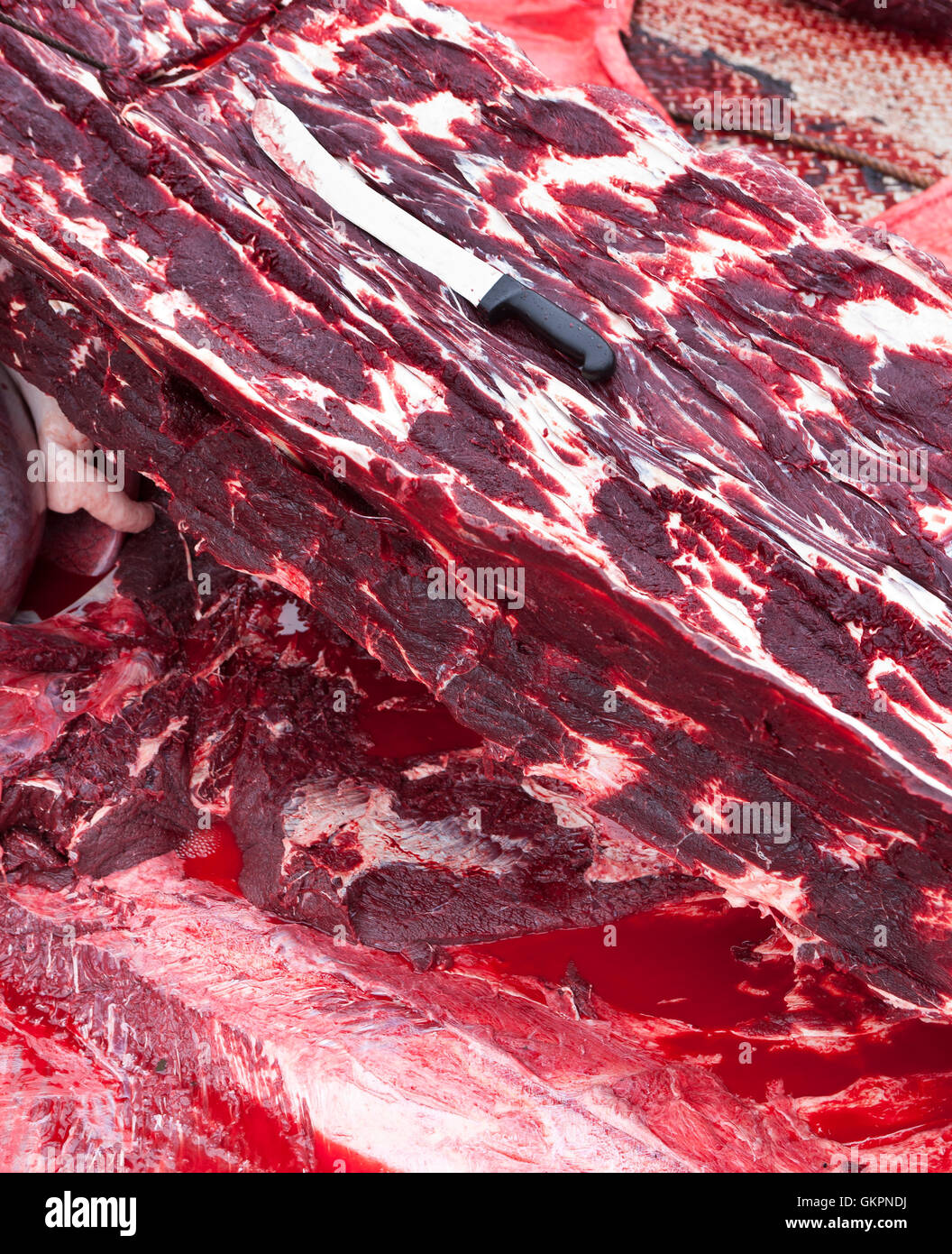 Fresh cut meat from a Minke Whale on board the Hrafnreydur KO-100, whaling ship, Iceland Stock Photo
