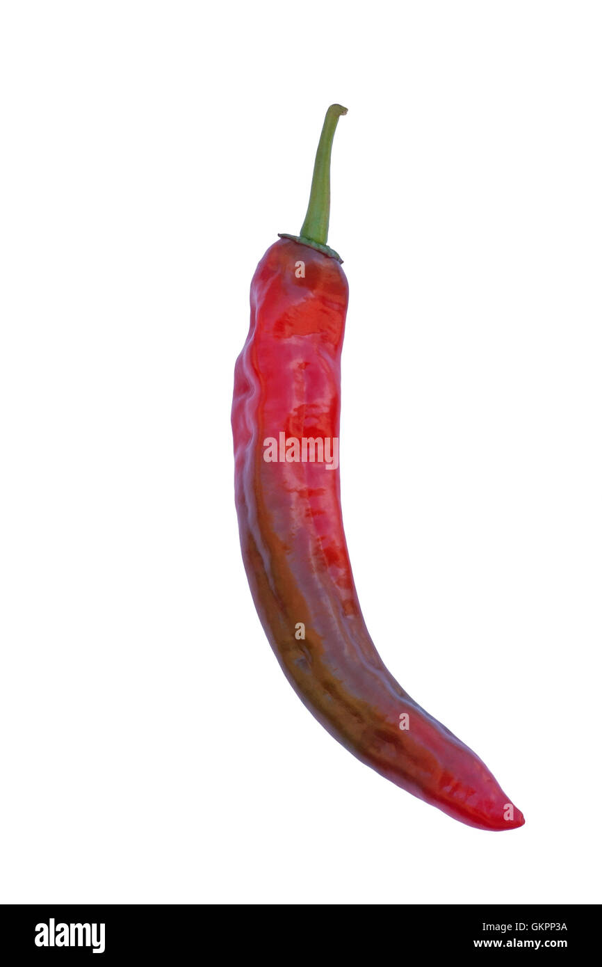 Capsicum annuum guinea spice hi-res stock photography and images - Alamy