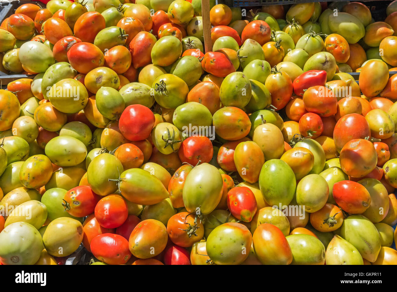 Egg-shaped tomatoes at a market in Palermo, Sicily Stock Photo