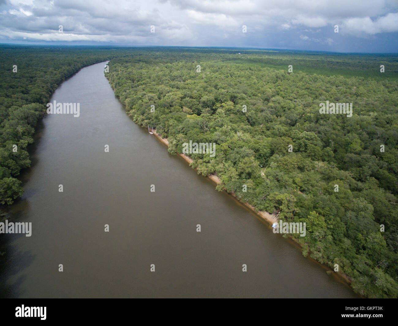 Aerial view of Suwanee River in Gilchrist County, Florida, looking north Stock Photo