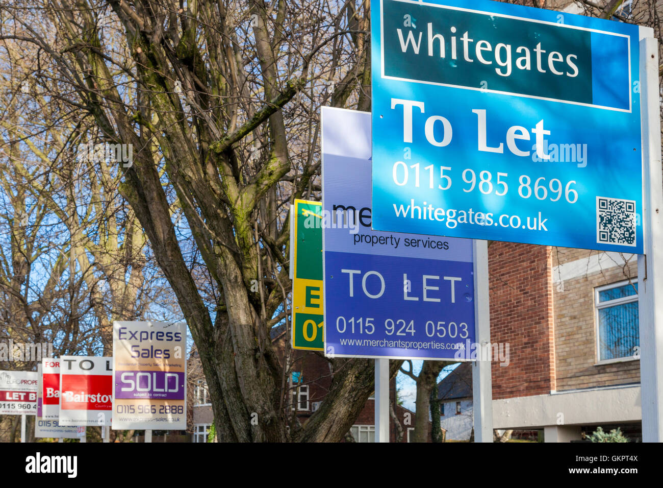 To let signs and other property management boards, Nottingham, England, UK Stock Photo