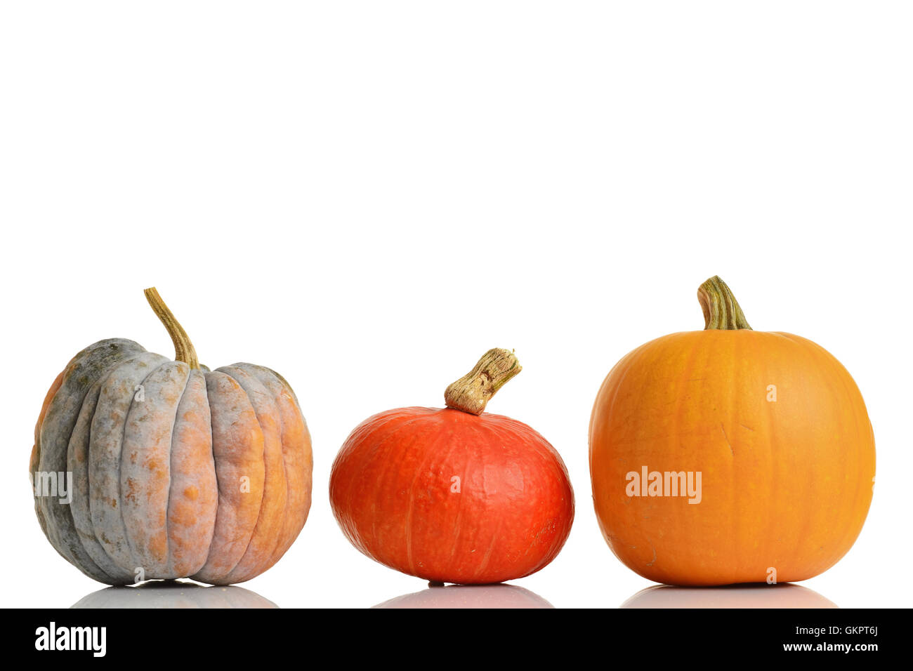 Pumpkins series. Three colorful pumpkins in row on white background ...