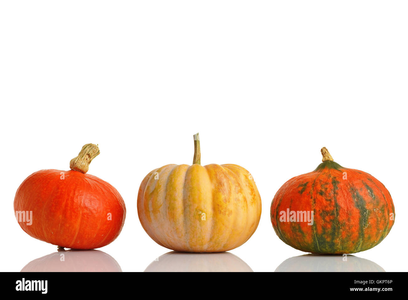 Pumpkins series. Three colorful pumpkins in row on white background ...
