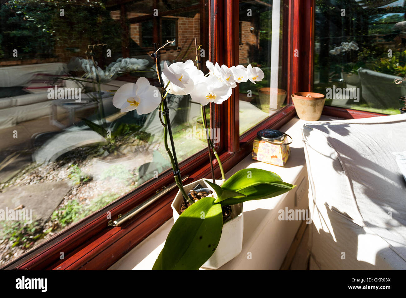 Conservatory back house hi-res stock photography and images - Alamy