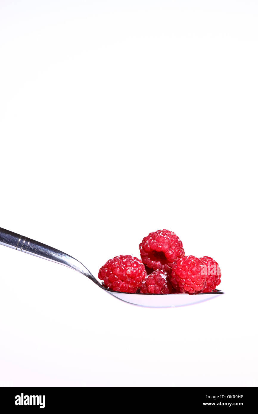 Ripe organic raspberries heaped on a metal dessert spoon studio shot
