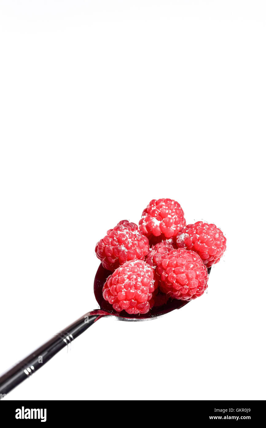 Ripe organic raspberries heaped on a metal dessert spoon studio shot