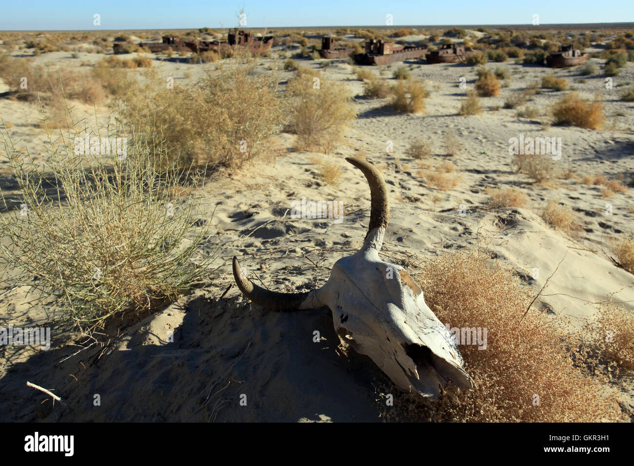 Aralkum Desert with rusted ships in background  on the former seabed of the Aral Sea near Moynaq, Uzbekistan. Stock Photo