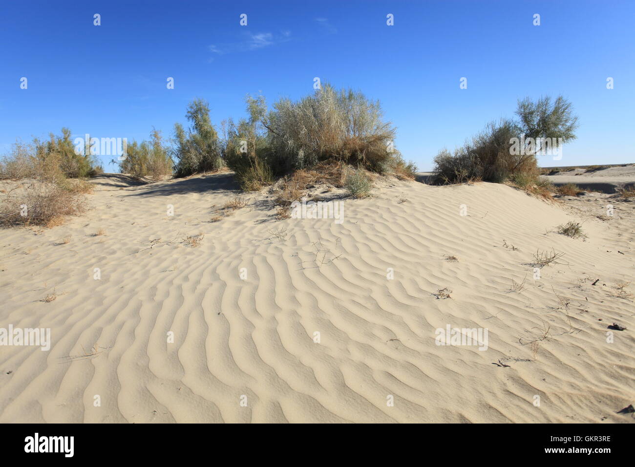 Aralkum Desert on the former seabed of the Aral Sea near Moynaq, Uzbekistan. Stock Photo