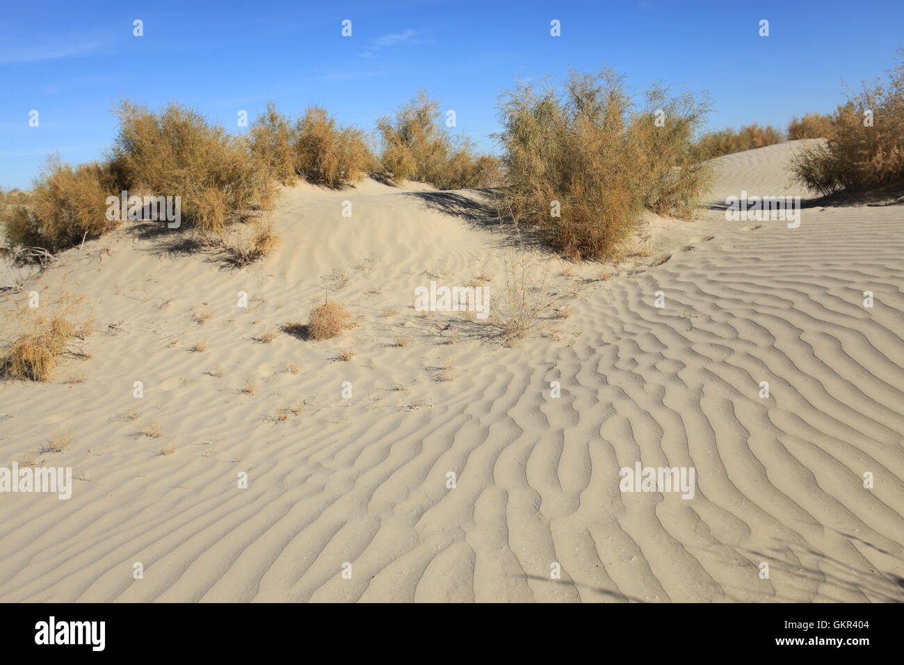 Aralkum Desert on the former seabed of the Aral Sea near Moynaq, Uzbekistan. Stock Photo