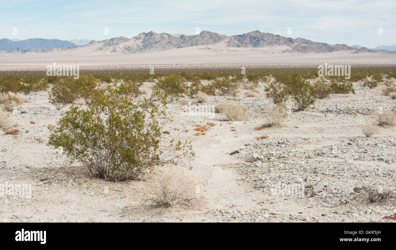 The Mojave Desert Stock Photo Alamy