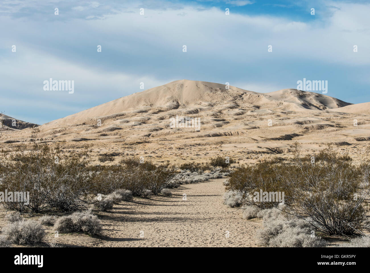 Kelso Dunes In The Mojave Desert Stock Photo - Alamy