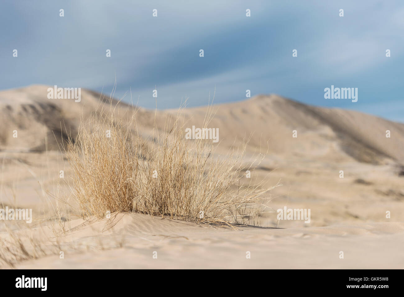 Kelso Dunes in the Mojave Desert Stock Photo
