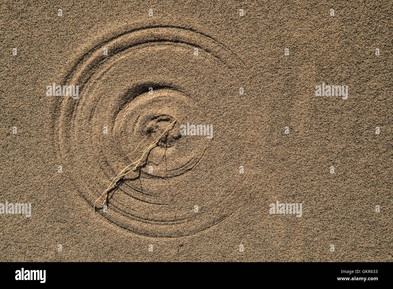 Natural circles formed in the sand by grass blown in the wind Stock Photo