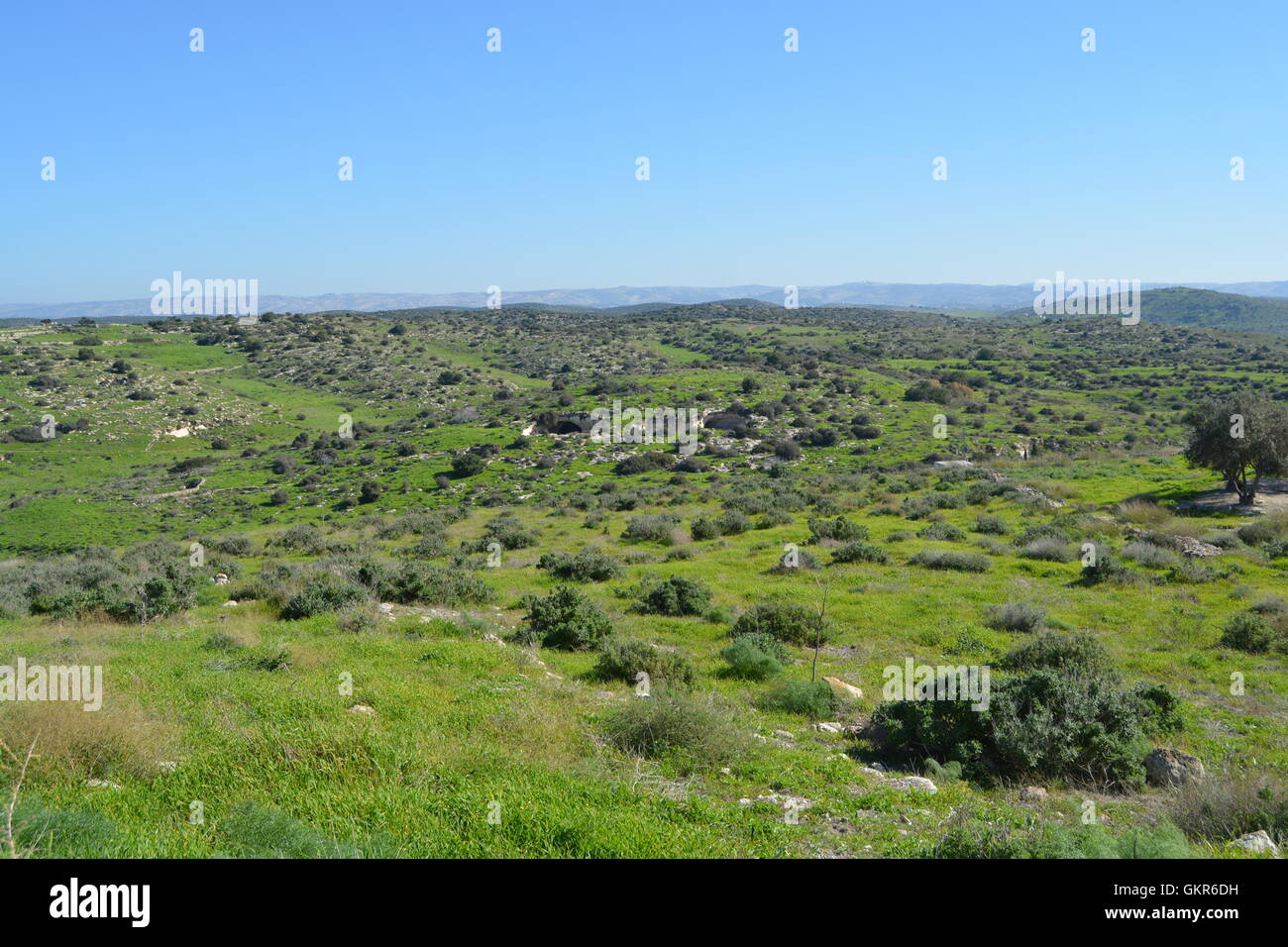 Beit Guvrin-Maresha National Park, Israel Stock Photo