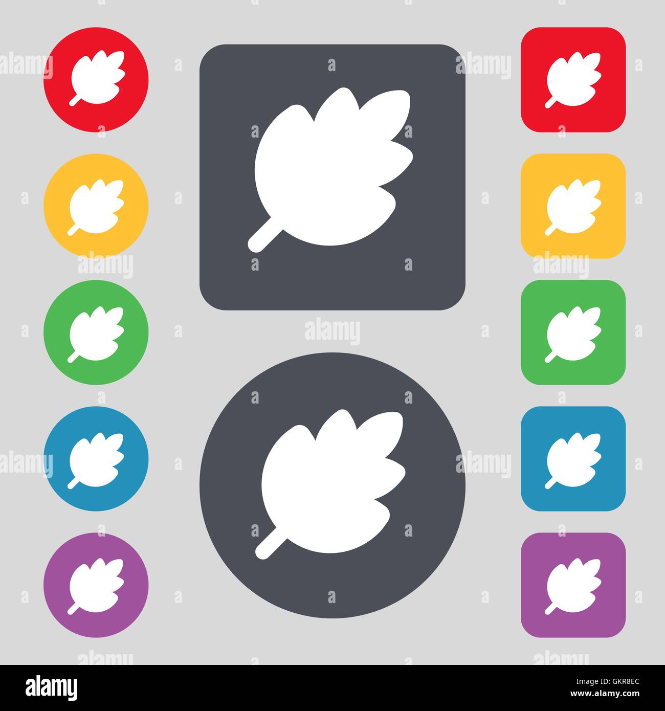 Leaf, Fresh natural product icon sign. A set of 12 colored buttons ...