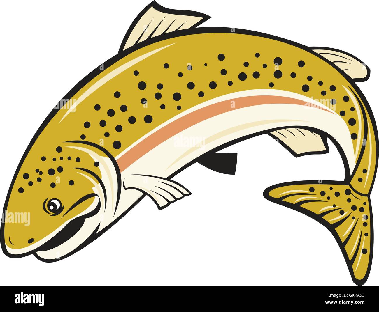 Rainbow Trout Jumping Cartoon Isolated Stock Vector Image & Art Alamy