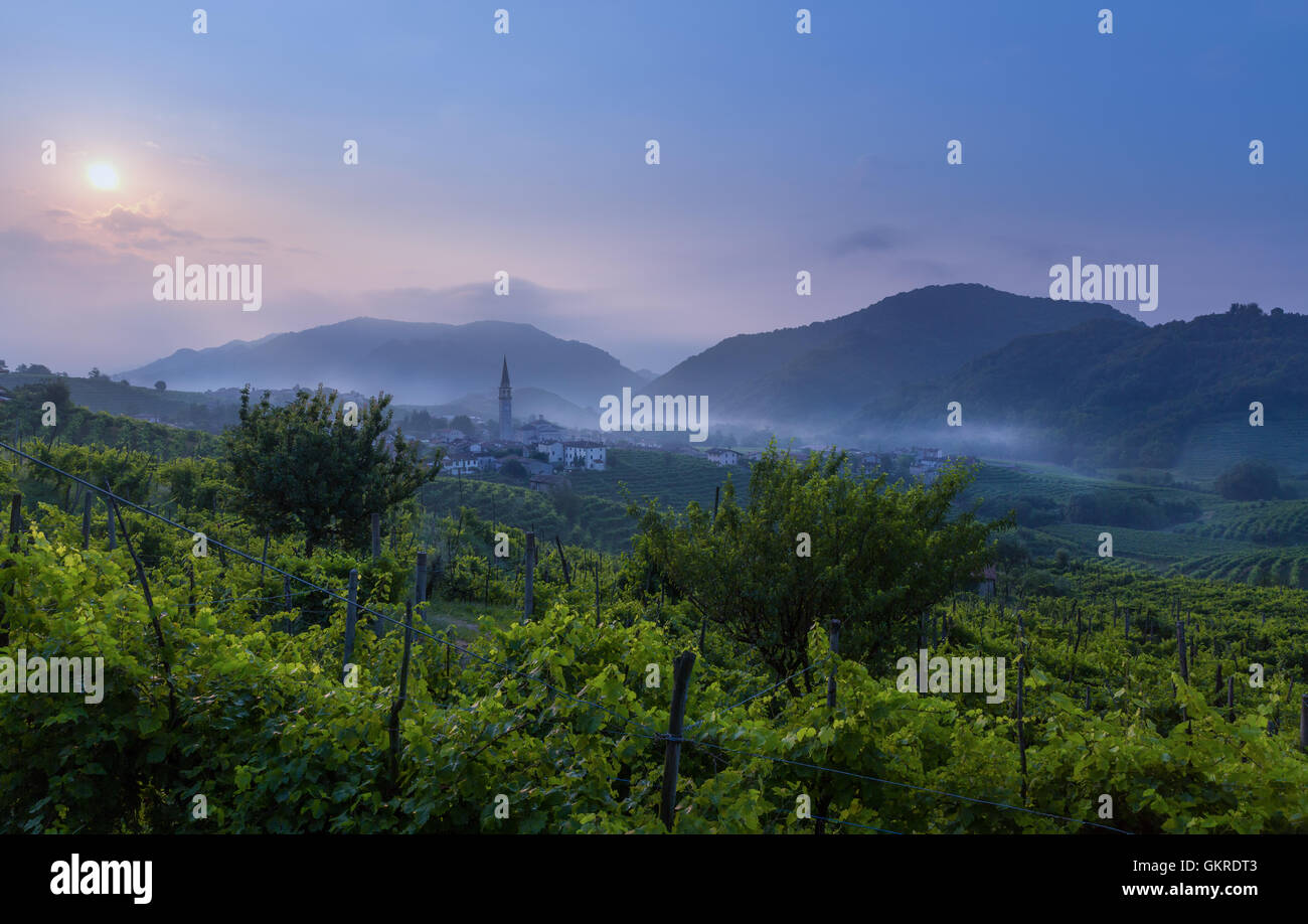 Sunrise over the Prosecco vine fields at Guia, Valdobbiadene, Treviso, Veneto, Italy Stock Photo