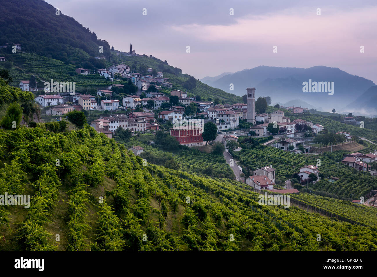 The Prosecco grape fields near Santo Stefano, Veneto, Italy Stock Photo