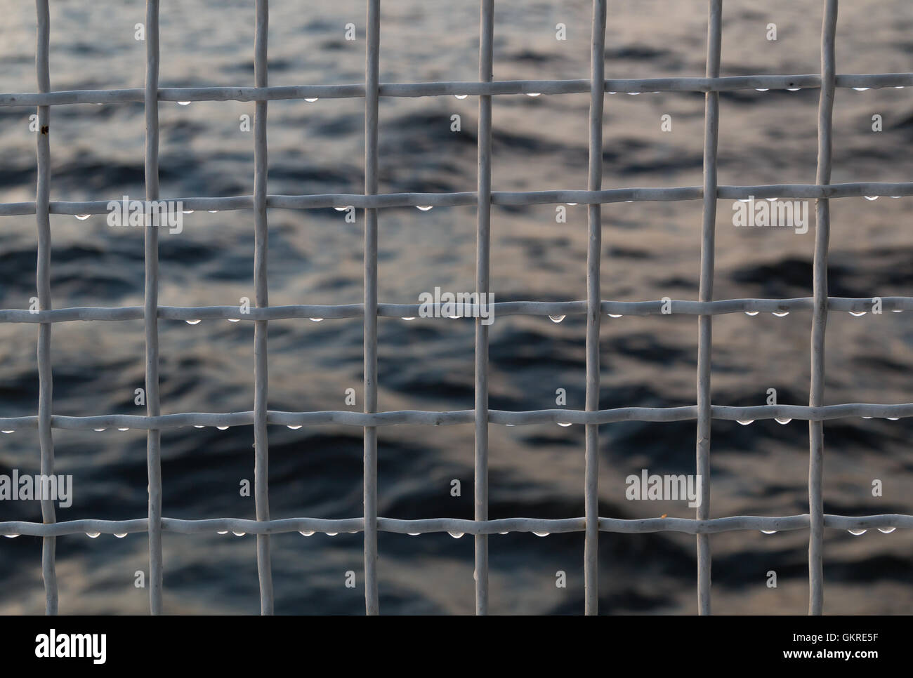 Metallic net with drops against sea background. Stock Photo