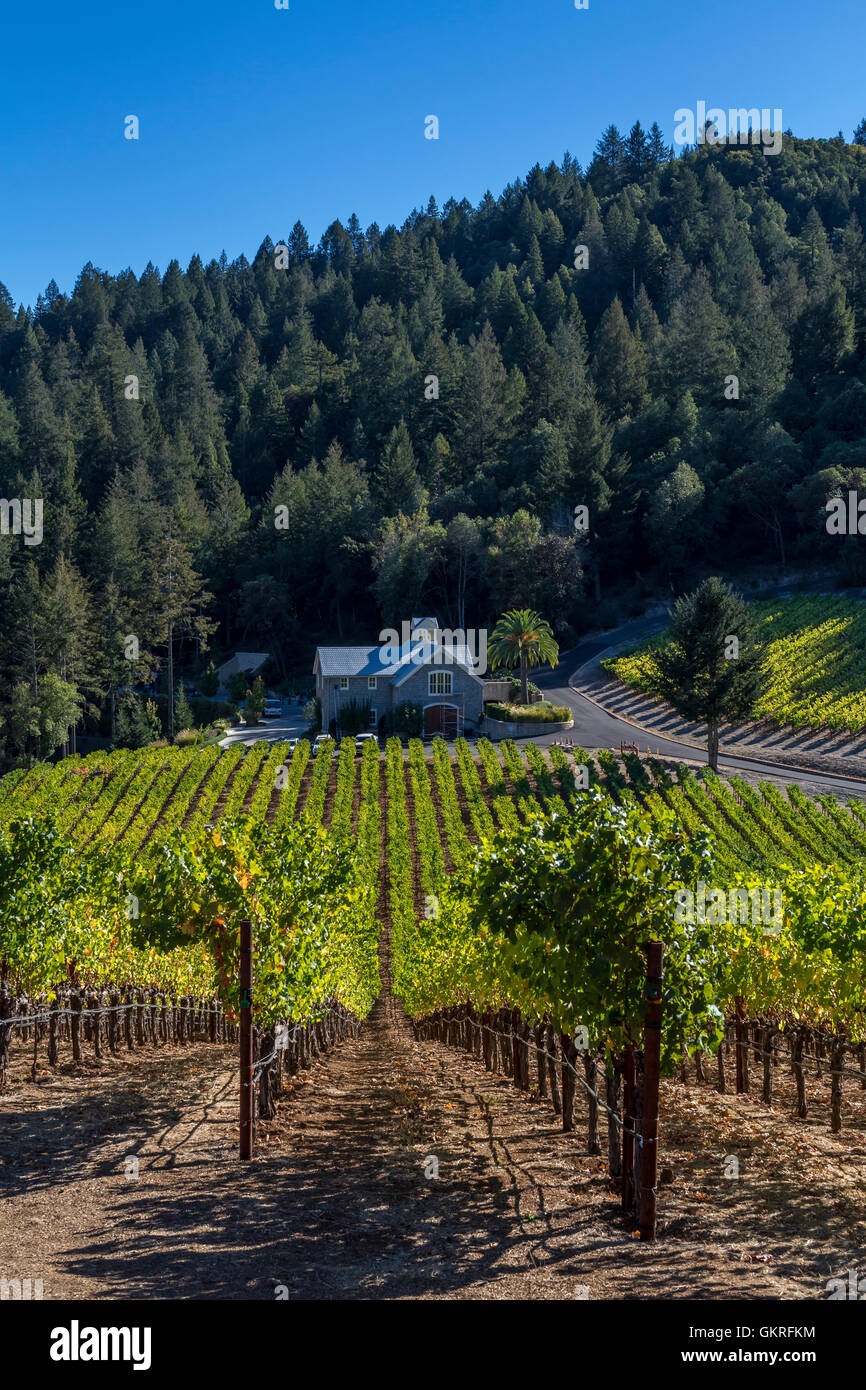 Diamond mountain vineyard hires stock photography and images Alamy