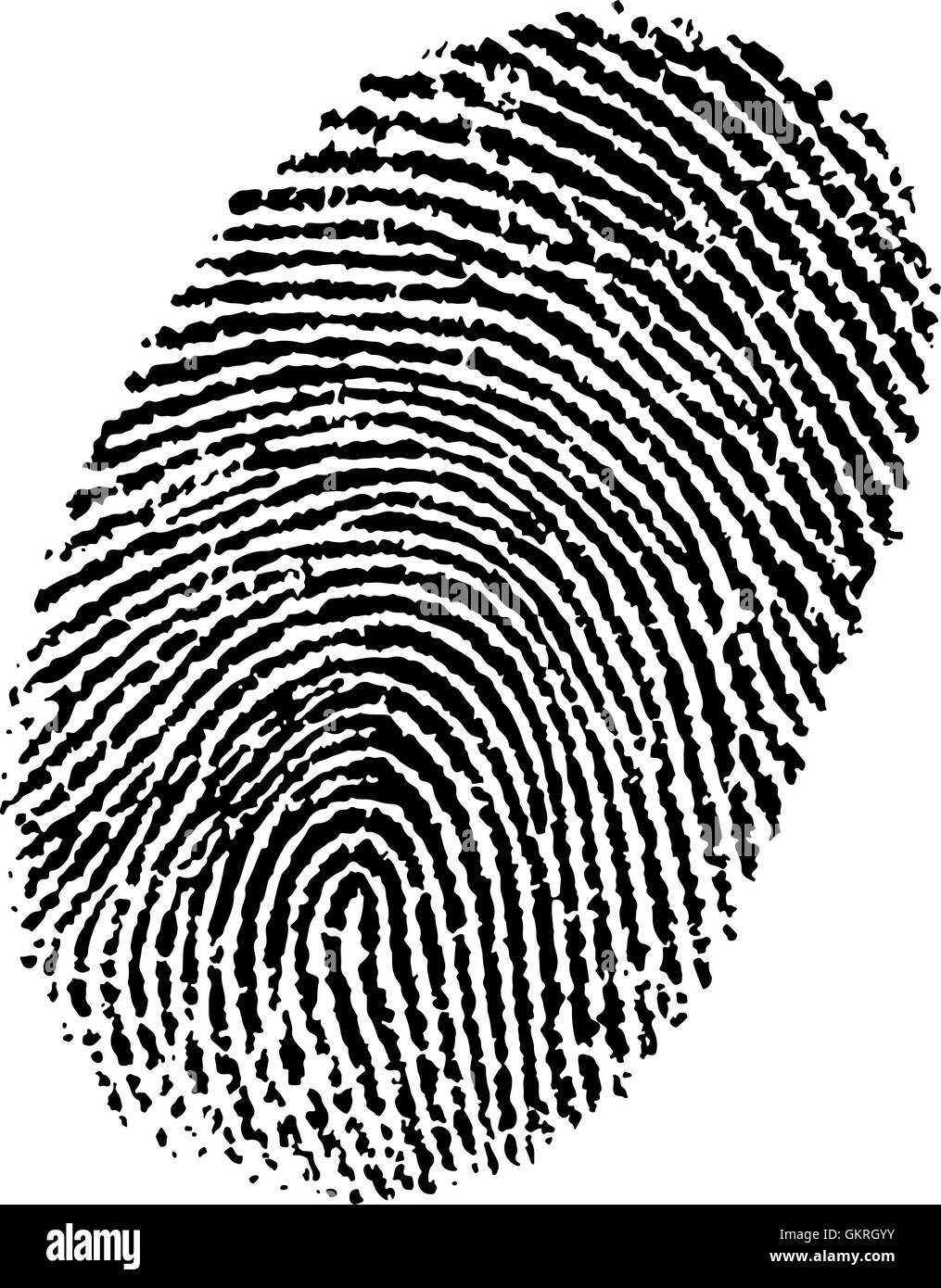 Crime suspicion Stock Vector Images - Alamy